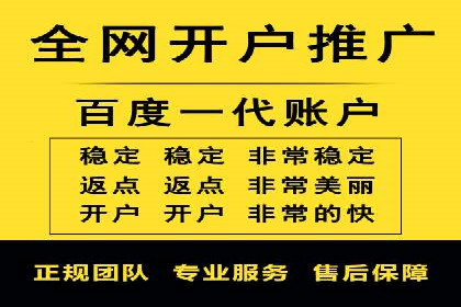 搜索引擎营销（SEM）的投放策略与效果评估——以某行业领先企业的案例分析